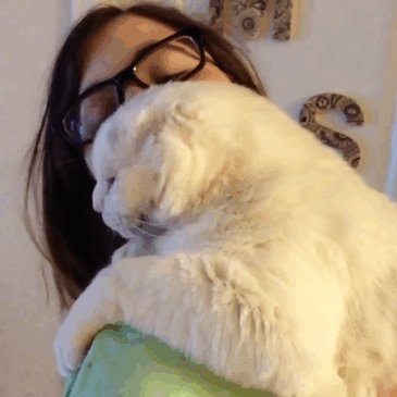 Безухий кот обрел любящую хозяйку (10 фото)